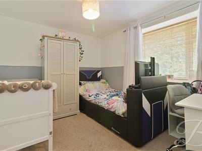 Picture 11